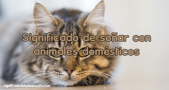 sonar animales domesticos