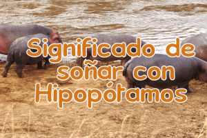 soñar con hipopotamos